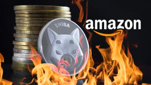 “Amazon SHIB Burner” About to Catch Up with September Burns: Details