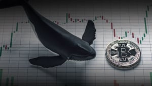 This Bitcoin Whale Knows When to Buy, Holds BTC at $11,200