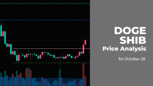 DOGE and SHIB Price Analysis for October 28