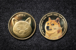 SHIB, DOGE Surge Together, Volume Skyrockets