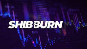 SHIB Burn Rate Shoots up 1,064% After These New Milestones