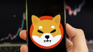 Here's What Drives SHIB Price up, According to Major SHIB Platform