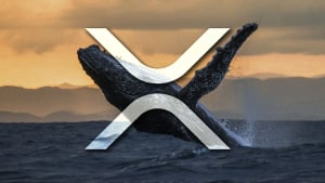 Hundreds of Millions of XRP Moved by Whales as Price Shows Bullish Setup