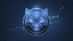 SHIB Trading Volume Gains 83% as Whale Accumulation Continues