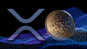 XRP, Cardano: Long-term Opportunities Are Back, Crypto Influencer Predicts