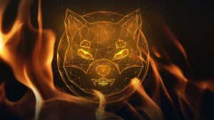 Millions of SHIB Burned in Three Big Transactions, Price Regains Key Level