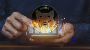 SHIB Large Transactions Jump 300% as SHIB Sets New Record in This Metric