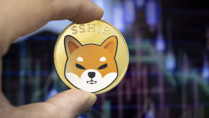 Lead Shiba Inu Developer Apologizes as Countdown Ends Up Being Nothingburger