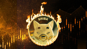 SHIB Burn Rate Spikes 13,198% as Hundreds of Millions of Shiba Inu Get Removed