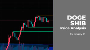 DOGE and SHIB Price Analysis for January 11