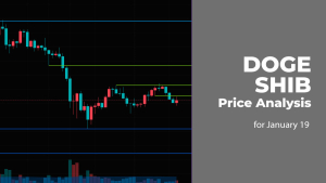 DOGE and SHIB Price Analysis for January 19