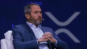 Huge XRP Transfers Occurred After Brad Garlinghouse's Statement on XRP's Importance