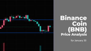 Binance Coin (BNB) Price Analysis for January 30