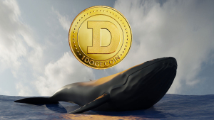 Dogecoin Whales Made 523 Transactions After DOGE's 34% Price Rise