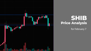 SHIB Price Analysis for February 7