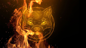 102 Million Shiba Inu (SHIB) Burned as Shibarium Release Date Becomes Enigma Again