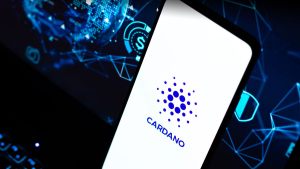 Can Cardano Benefit From Collapse of Solana's DeFi?