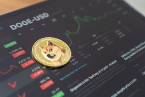 33.5 Billion Dogecoin Held by Robinhood Clients After Recent DOGE Surge