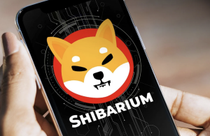 Shiba Inu (SHIB) Fans Rejoice: Shibarium Public Beta Launches This Week