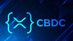 Ripple Advisor Sheds Light on Private XRP Ledger and CBDC Projects