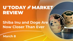 Shiba Inu and Dogecoin Correlation Reaches Long Unseen Values