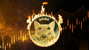 Shiba Inu (SHIB) Burn Rate up 26,000%, Price Revival Resumes