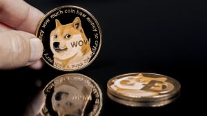 Dogecoin (DOGE) Building Block Receives New Update: Details