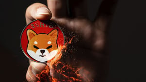 Shiba Inu (SHIB) Starts Week With Massive 1,100% Burn Rate Spike