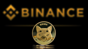 86 Trillion Shiba Inu (SHIB) Held in Binance's Publicly Disclosed Wallets: Details