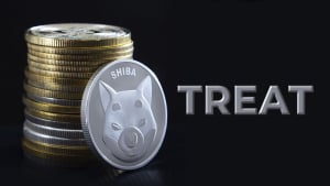 Shiba Inu (SHIB) Community Urged to Beware of TREAT Scam Tokens