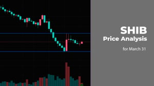 SHIB Price Analysis for March 31