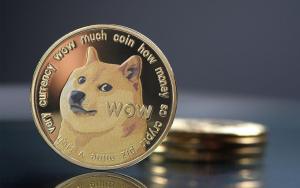 Ancient Dogecoin Wallet Suddenly Awakens After 9 Years: Details