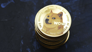 DOGE Co-Founder Reveals How Much Dogecoin He Owns