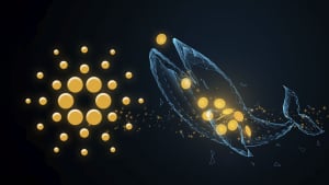 Cardano Whales Make Radical Move, Adding 150 Million ADA as Price Keeps Rising