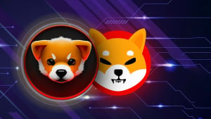 Shibarium's Puppynet Triggers Surge in Shiba Inu's BONE Large Transactions