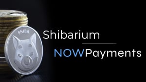 Shibarium and NOWPayments Join Forces: Shiba Inu (SHIB) Lead Approves