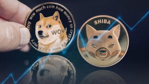 DOGE, SHIB Beat ADA, FLOKI In Terms of Social Sentiment Rise