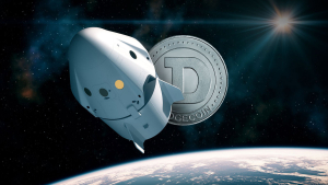 SpaceX's Starship Explodes: Dogecoin's Price Takes Unexpected Turn