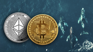 Three Whales Make Big Bets on ETH and BTC via DeFi Protocols