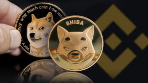 Binance Liquid Swap Adds SHIB/DOGE Liquid Pool and 6 More Assets