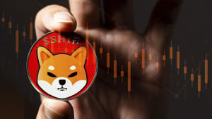 Shiba Inu (SHIB) Trend Reversal Incoming? Here's Why