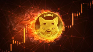 Shiba Inu (SHIB) Burn Rate Jumps 30,940%, Price Set to Soar