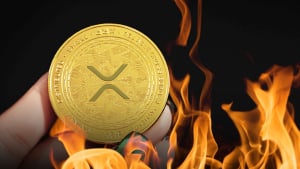 Ripple Could Burn Their XRP Right Now: Former Executive