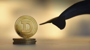 Dogecoin (DOGE) Whale Transactions Jump 152%, Will Price Gain Follow?