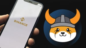 SHIB Rival FLOKI Announces Strategic Deal With Binance Pay