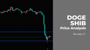 DOGE and SHIB Price Analysis for June 11