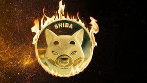 Shiba Inu (SHIB) Burn Rate up 810%, Price Jump Follows