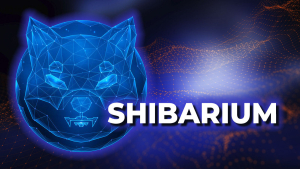 Shiba Inu: Here's Latest Update on Shibarium Beta Testnet