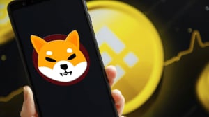 17.8 Billion SHIB Transferred to Binance and Other Wallets Just Now