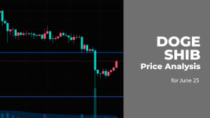 DOGE and SHIB Price Analysis for June 25